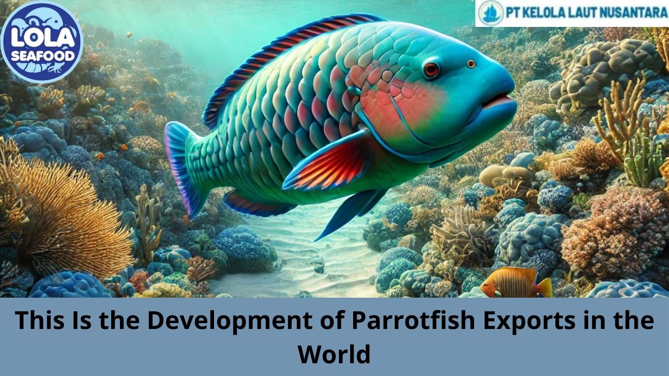 This Is the Development of Parrotfish Exports in the World